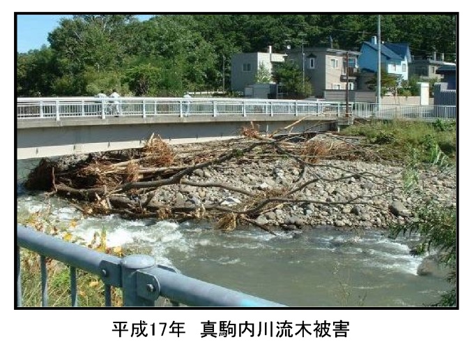 平成17年真駒内川流木被害の写真