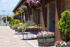 花で彩られた道の駅「花ロードえにわ」