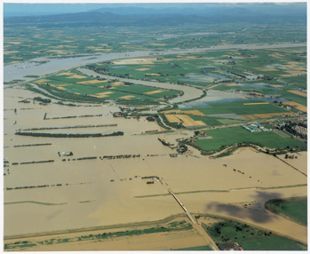 幌向川西1号破堤による豊幌地区の氾濫状況