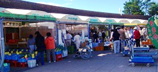 道の駅・マオイの丘公園直売所