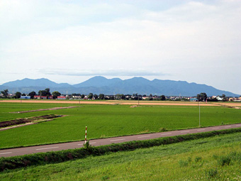 新篠津の田園風景