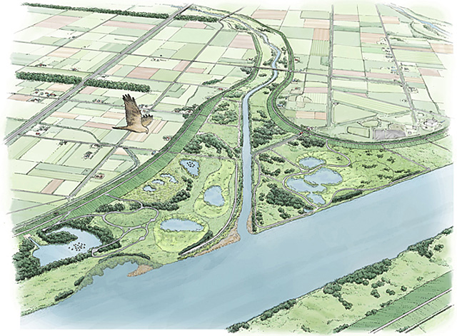 石狩川下流当別地区として、当別川合流点に湿地やワンドなどが住民参加で再生されている