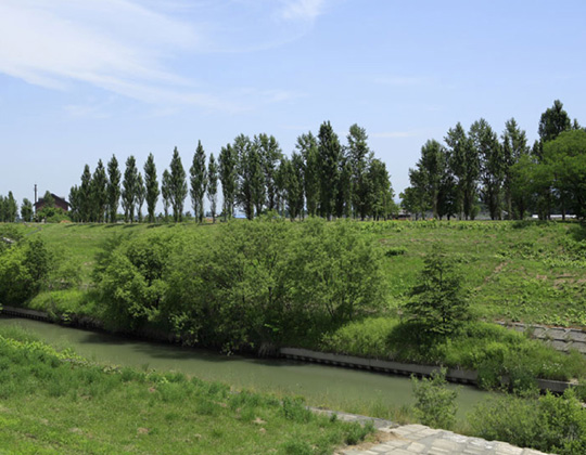 街路樹に囲まれた「河畔公園・消流雪用水貯水池公園」を望む