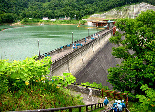 桂沢湖周辺は化石の宝庫として世界的にも有名