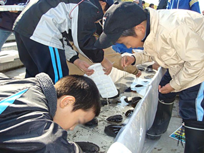 (4)　幾春別川に生息する水生生物の学習