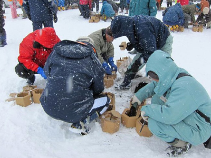 (2)　北村防災ステーションに移動し、カミネッコンに土と苗を入れて雪をかぶせて完了。