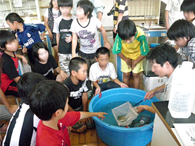 中富良野小学校の水生生物調査
