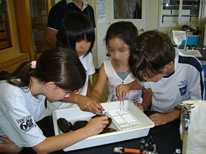 布部小学校の水生生物調査