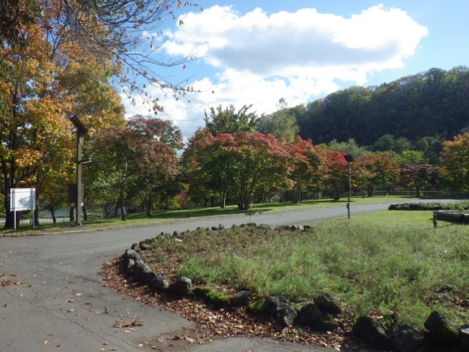 えにわ湖自由広場の紅葉