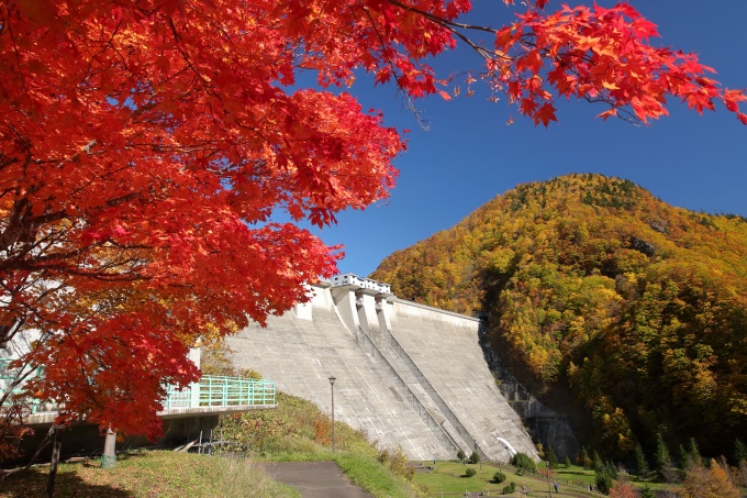 紅葉とダム堤体画像