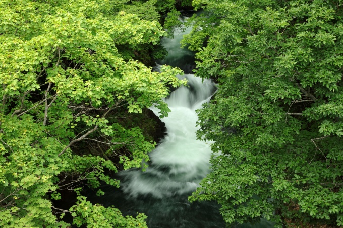 夏の小樽内川画像