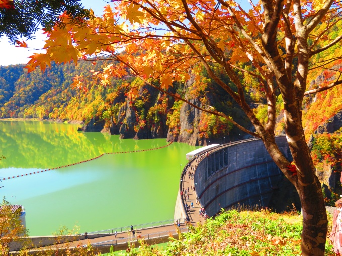 展望台から撮影したダムと紅葉の写真