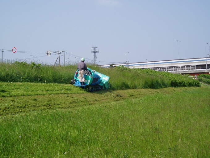 堤防の除草