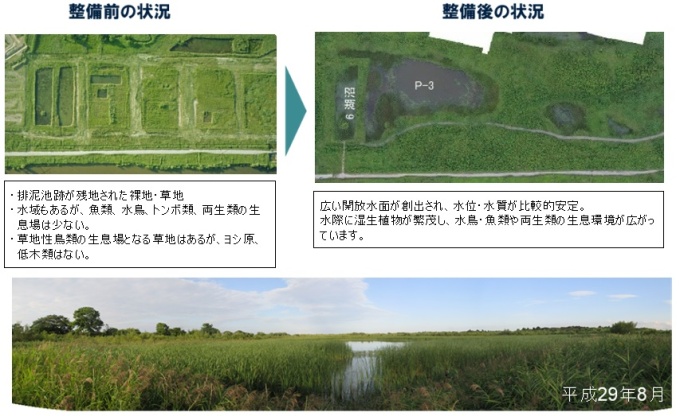 湿地・草地の整備前と整備後の比較写真