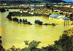 赤平市茂尻地区の浸水状況