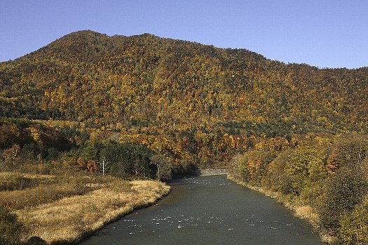 島の下大橋