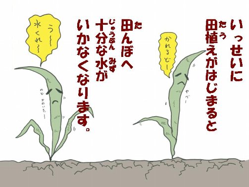 田んぼへ十分な水がいかなくなります