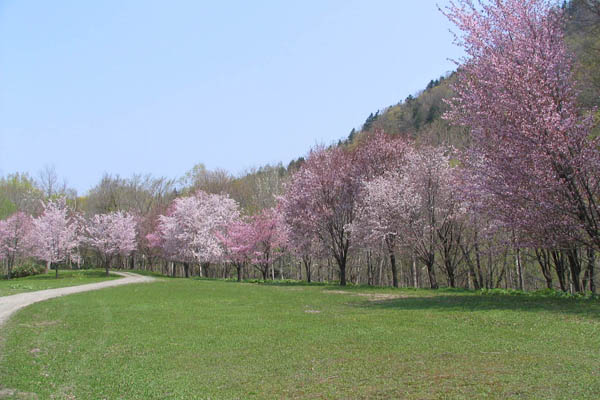 ダム下流公園