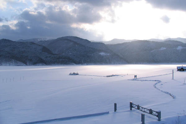 湖の氷結