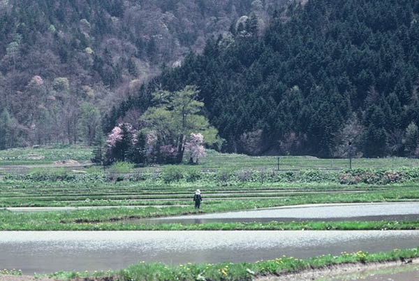 田園風景