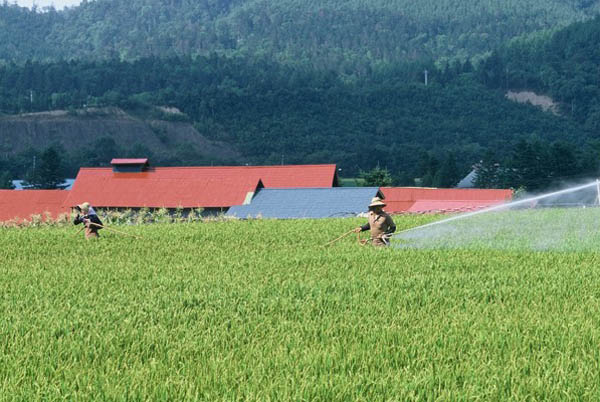 防除作業