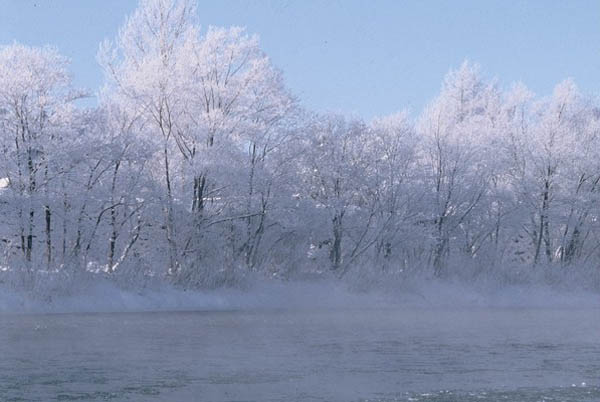 雪景色