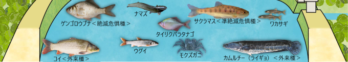 砂川遊水地