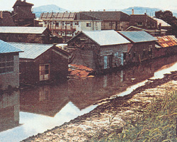 昭和50年洪水滝川市