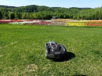 植物・建物・施設等の管理コストの見直し