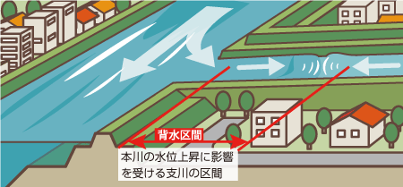 千歳川の洪水の特徴 札幌開発建設部