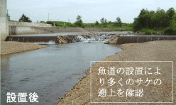 魚道改修後の写真