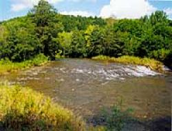 環境放流による河川景観の回復
