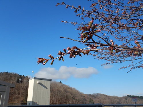 令和8年4月28日　漁川ダムからの風景