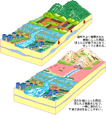 農村空間の多面的機能