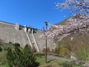下流園地からの定山渓ダム写真（春）