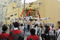 空中に神輿を放り投げる様子